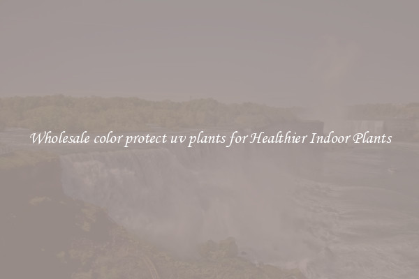 Wholesale color protect uv plants for Healthier Indoor Plants