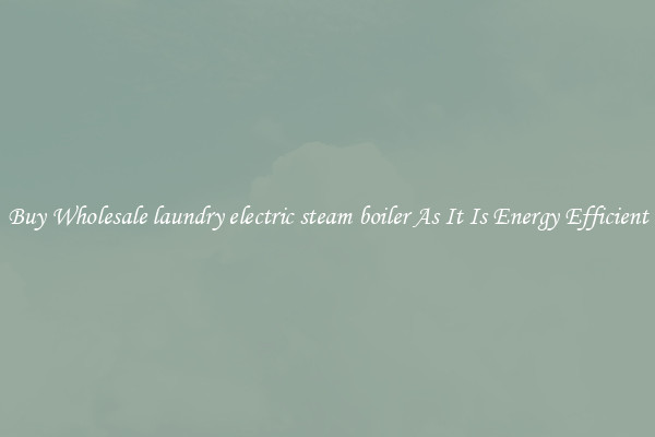 Buy Wholesale laundry electric steam boiler As It Is Energy Efficient