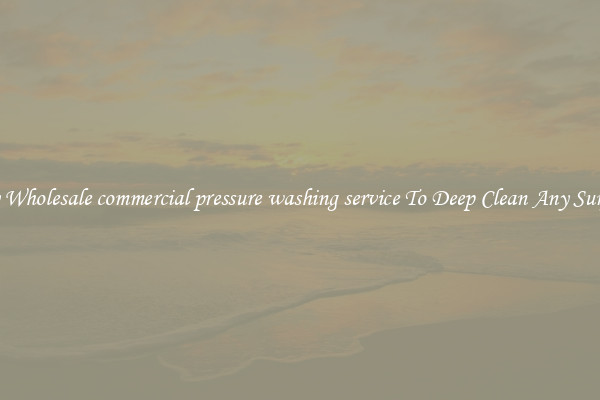 Buy Wholesale commercial pressure washing service To Deep Clean Any Surface