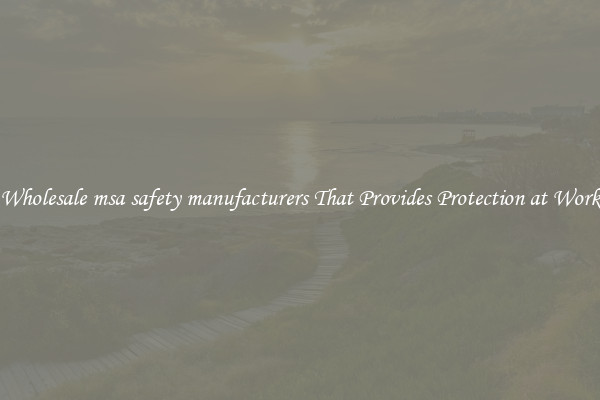 Wholesale msa safety manufacturers That Provides Protection at Work