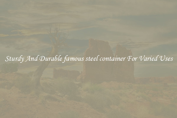 Sturdy And Durable famous steel container For Varied Uses