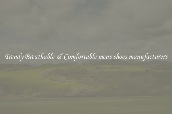Trendy Breathable & Comfortable mens shoes manufacturers