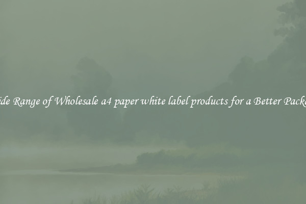 A Wide Range of Wholesale a4 paper white label products for a Better Packaging 