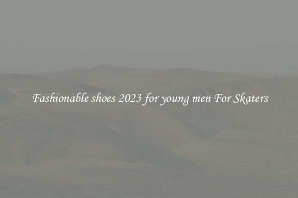 Fashionable shoes 2023 for young men For Skaters