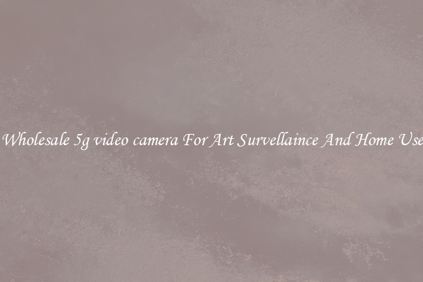 Wholesale 5g video camera For Art Survellaince And Home Use