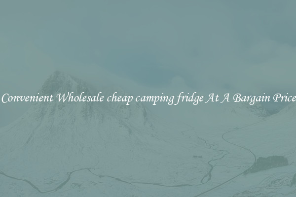 Convenient Wholesale cheap camping fridge At A Bargain Price