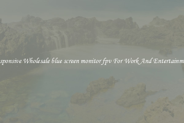 Responsive Wholesale blue screen monitor fpv For Work And Entertainment