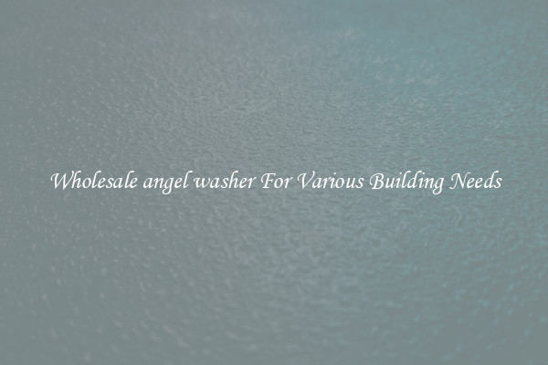 Wholesale angel washer For Various Building Needs