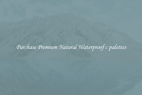 Purchase Premium Natural Waterproof c palettes