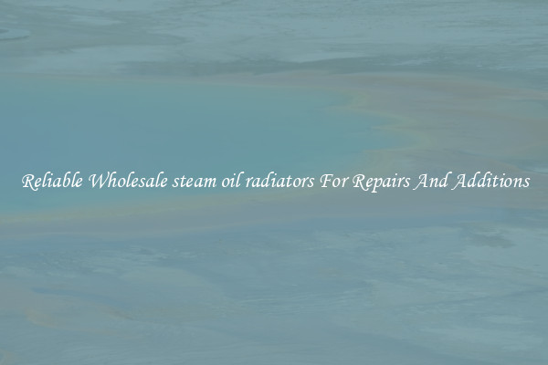 Reliable Wholesale steam oil radiators For Repairs And Additions