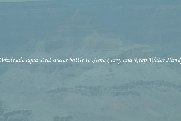 Wholesale aqua steel water bottle to Store Carry and Keep Water Handy