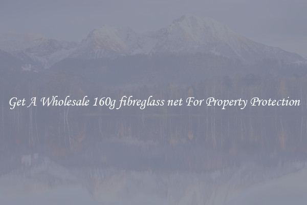 Get A Wholesale 160g fibreglass net For Property Protection