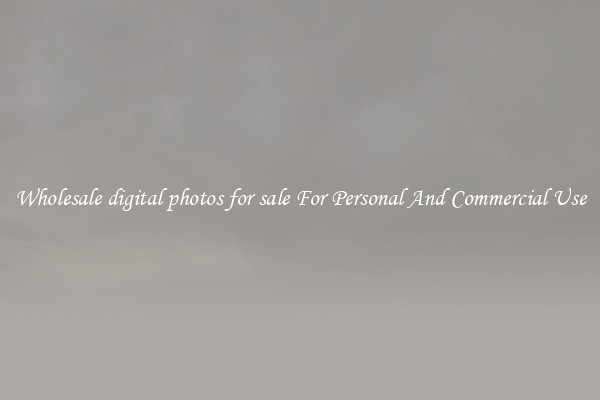 Wholesale digital photos for sale For Personal And Commercial Use