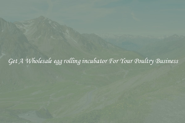Get A Wholesale egg rolling incubator For Your Poultry Business