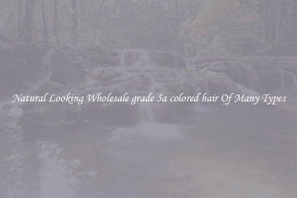 Natural Looking Wholesale grade 5a colored hair Of Many Types
