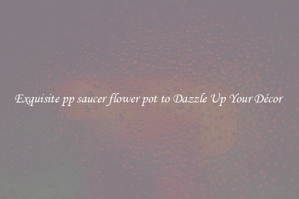 Exquisite pp saucer flower pot to Dazzle Up Your Décor 