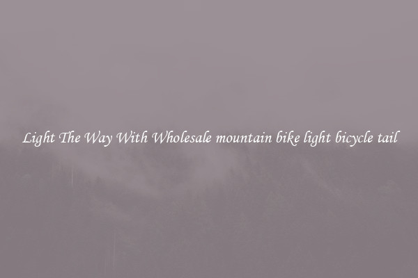 Light The Way With Wholesale mountain bike light bicycle tail